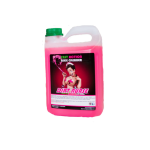 DIRT NURSE FAST ACTION CLEANER